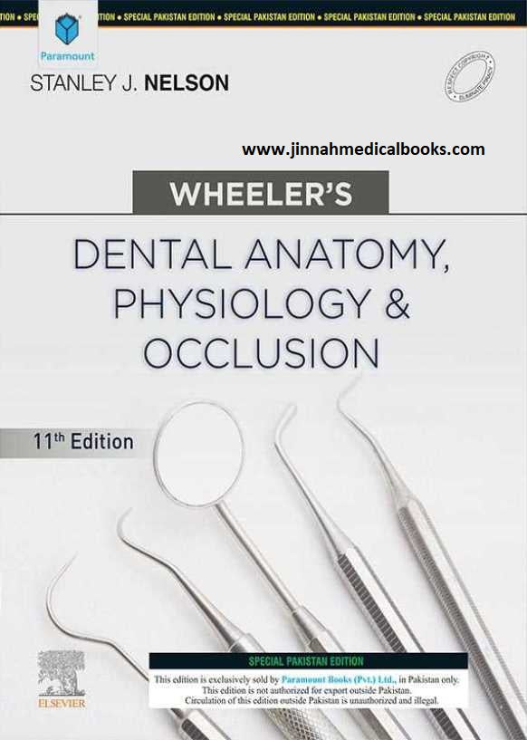 Wheeler's Dental Anatomy Physiology Occlusion