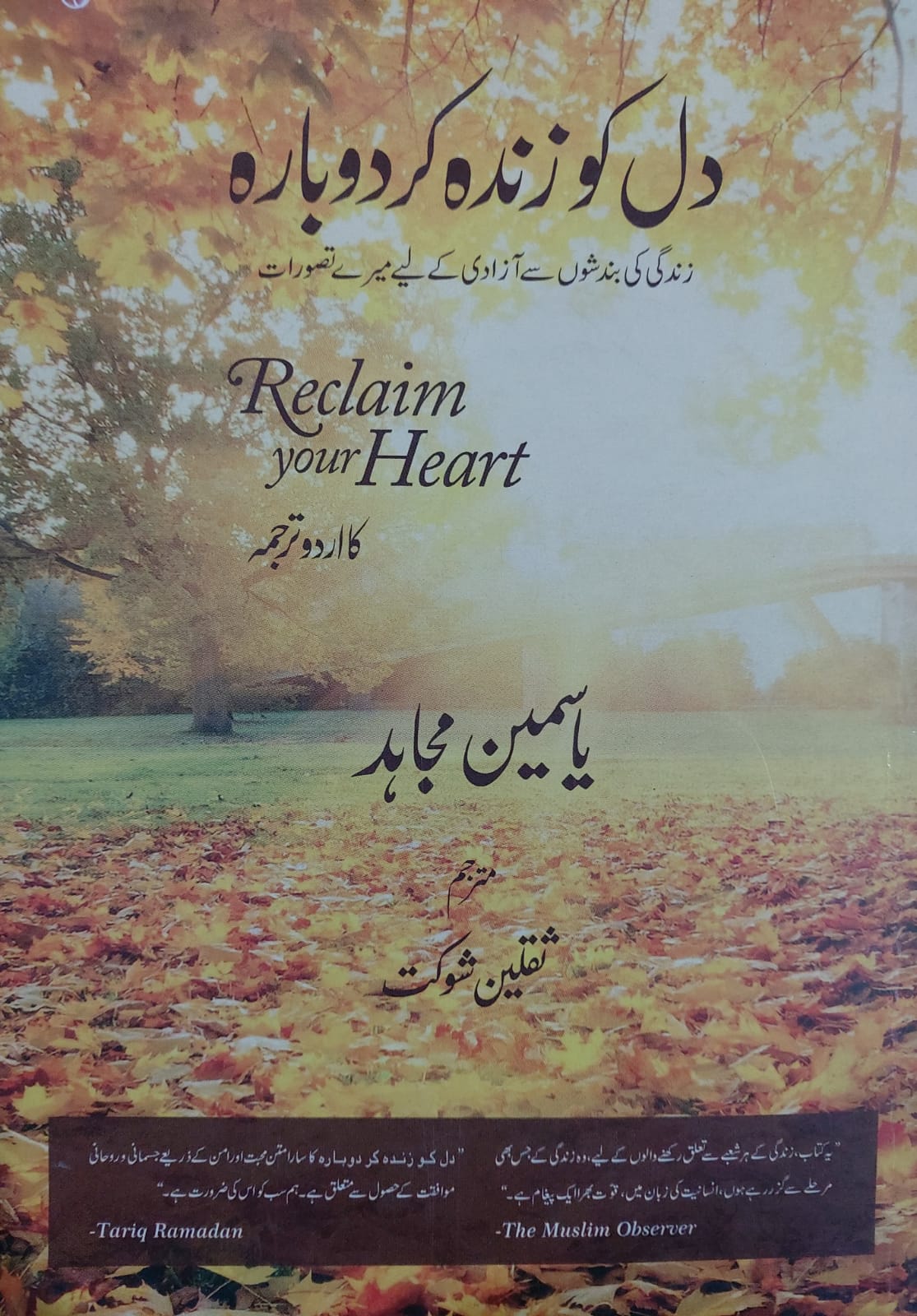 Dil Ko Dubara Zinda Krna (Reclaim Your Heart)