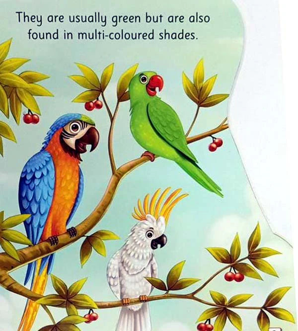 All About Me Parrot