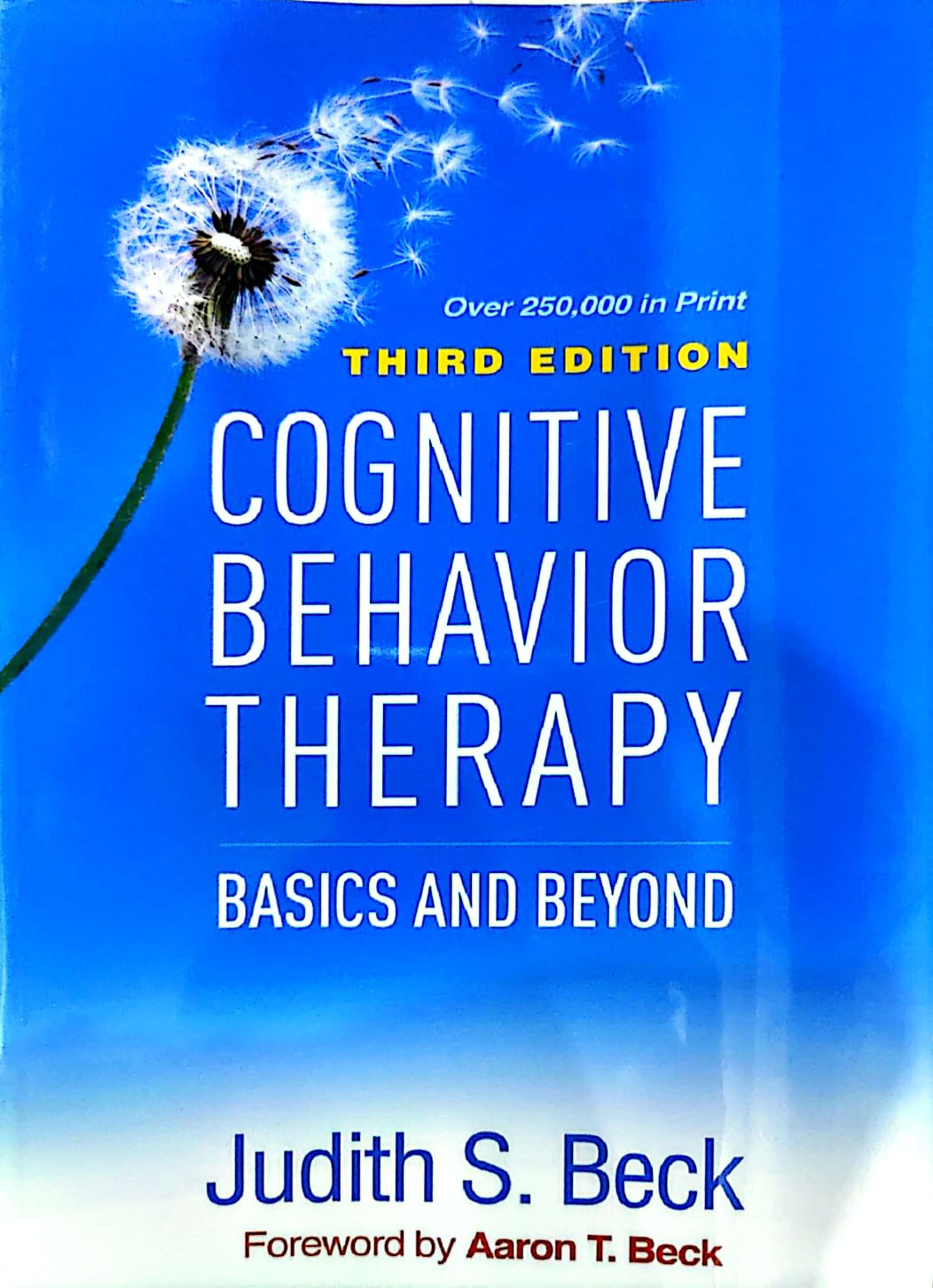 Cognitive Behaviour Therapy Basics And Beyond