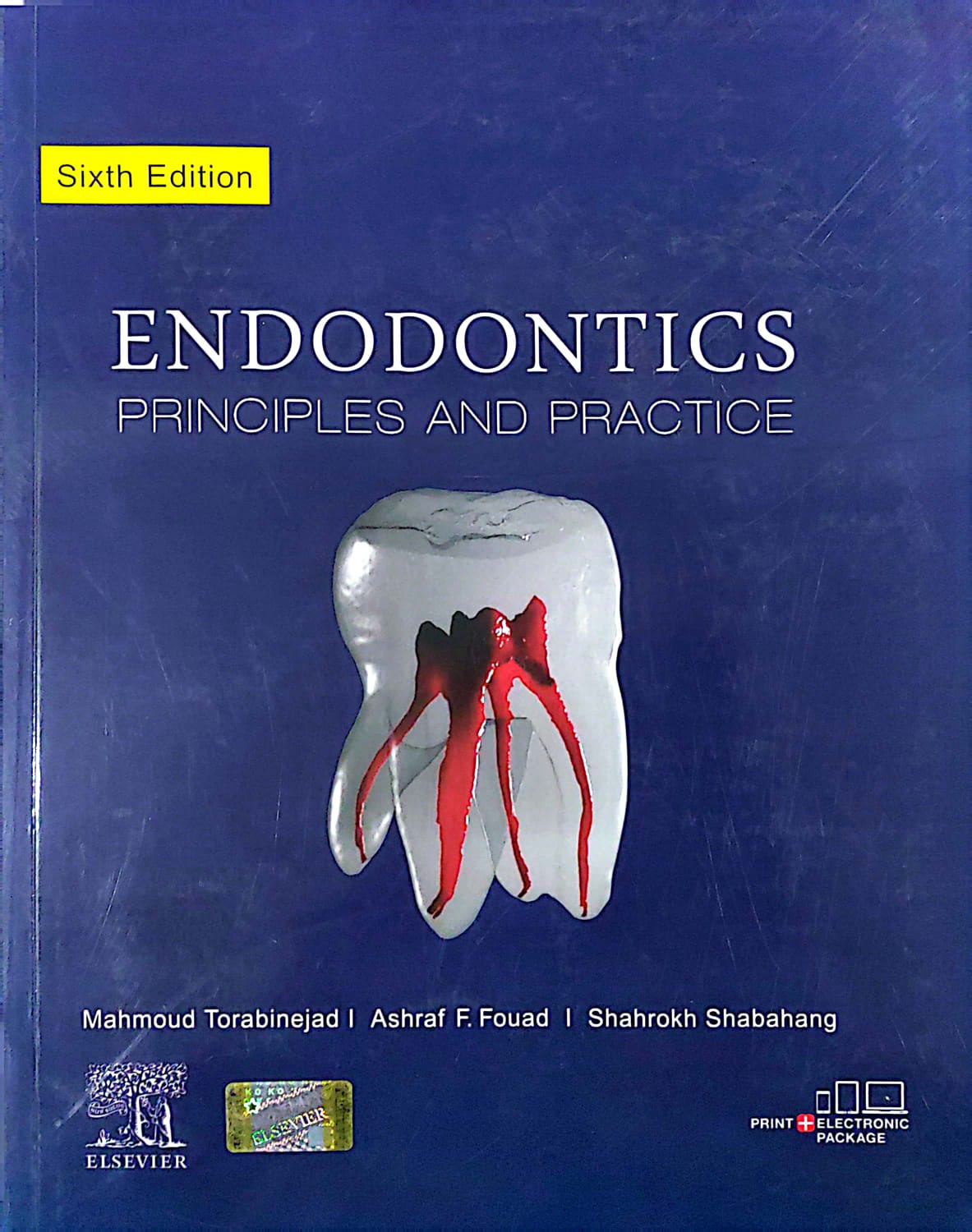 Endodontics Principles And Practice
