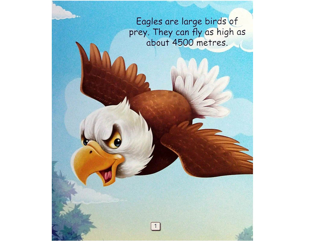 I am an Eagle