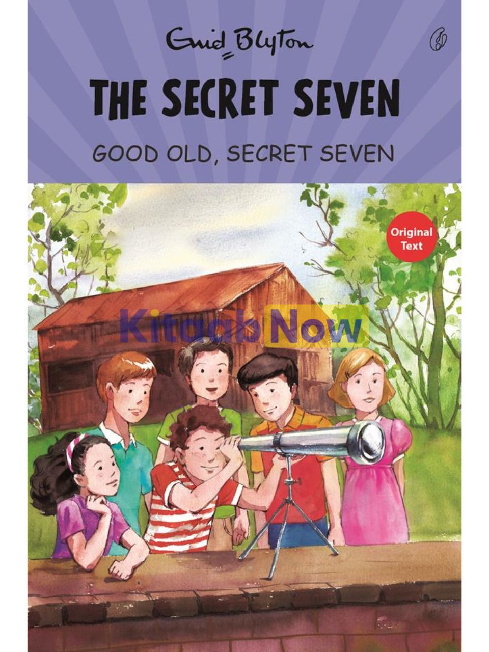 Good Old Secret Seven: the Secret Seven Series By Enid Blyton