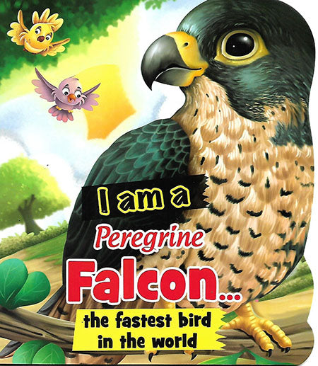 I am a Peregrine Falcon