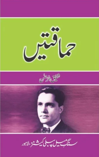 Himaqatain - حماقتیں