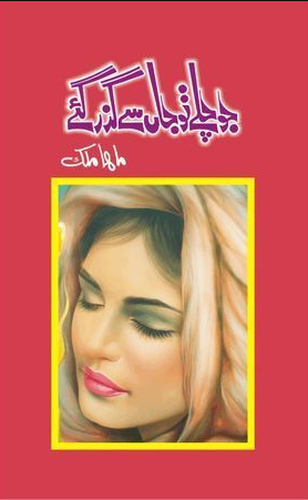Jo Chaley Tou Jaan Se Guzar Gaye