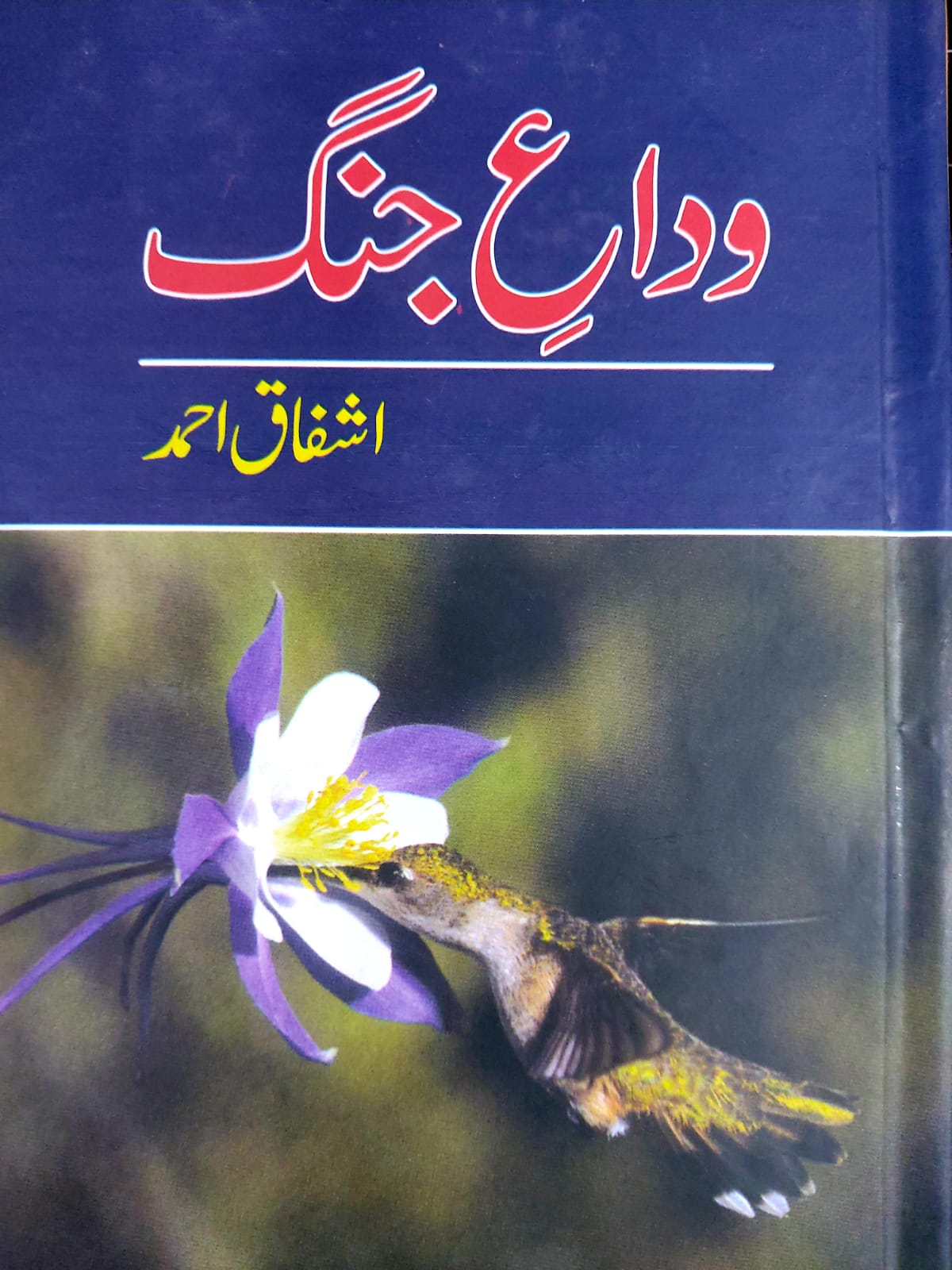 Wida E Jang