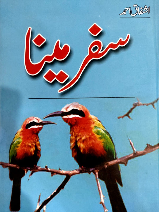Safar E Meena