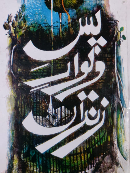 Pas E Deewar E Zindan