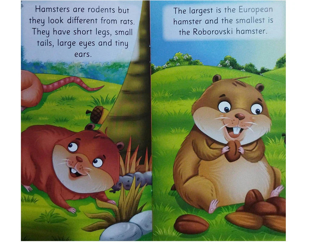 All About Me Hamster