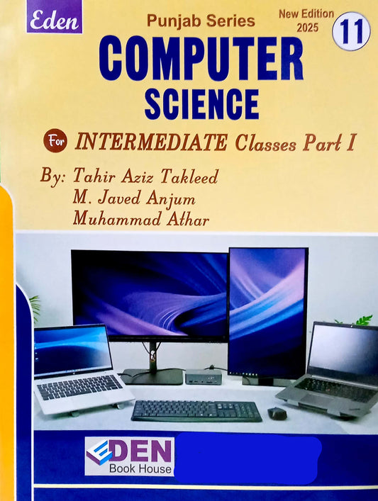 Punjab Series Computer Science 11