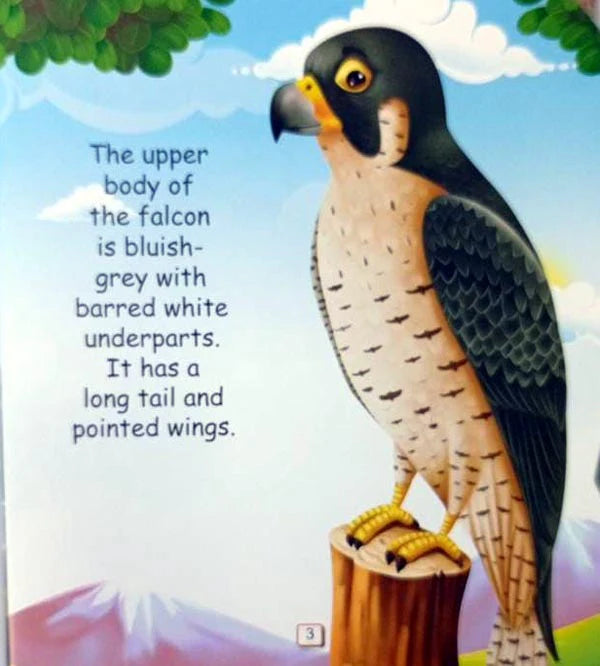 I am a Peregrine Falcon